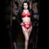 Von Follies by Dita von Teese Madame X - Strumpfhalter rot