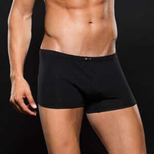 ENVY Semitransparente Shorts schwarz